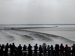-观潮胜地公园