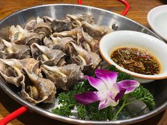 白灼海螺-必点海鲜·鲅鱼水饺(鞍山西道店)