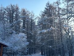 -长春净月潭风景名胜区