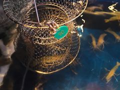 -钳真多钓虾馆·小龙虾海鲜烧烤(九六广场店)