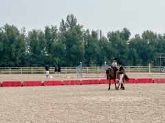 -北京群众马术培训基地