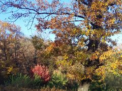 -阳台山自然风景区