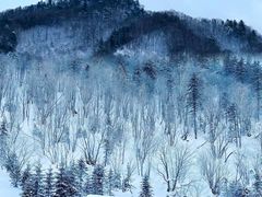 -雪谷