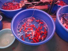 -中环花鸟鱼虫市场