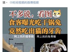 -唐猛猛湘乐汇(银泰城店)