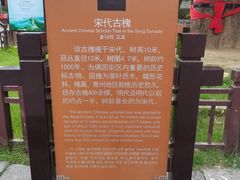 -青州古城