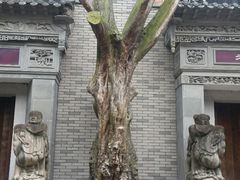 -龙潭水乡