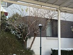 -一轩饺子馆(丽都店)