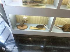 -下渚湖国家湿地公园科普馆