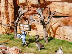 -北京野生动物园