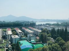 -湖影中餐厅·南京金茂威斯汀大酒店