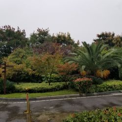 -禾丽康美医疗美容医院