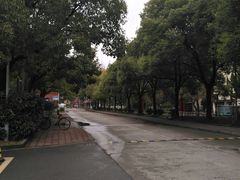 -同济大学(沪西校区)