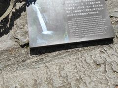 -苍山感通索道