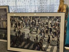 -鲁轩画室·专业美术教学(黄桷坪校区)
