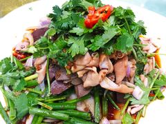 马冈鹅大全-鹅城