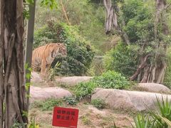 -广州长隆野生动物世界