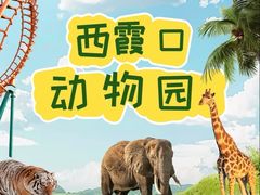 -西霞口神雕山野生动物世界