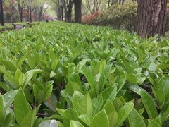 -木塔寺遗址生态公园