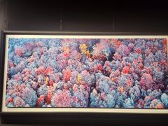 -罗红摄影艺术馆