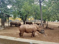 -西安秦岭野生动物园