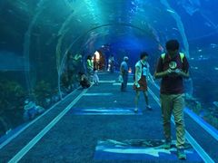 -成都浩海立方海洋公园