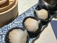 -点都德·毕德寮