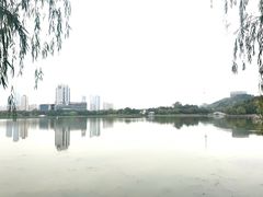 -月湖风景区