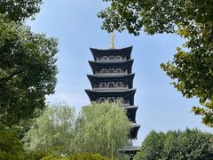对面的公园-乡亲鹅肉城(吴江店)