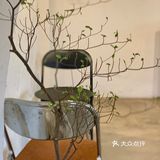 重庆探店！藏在隐秘角落里的江景下午茶