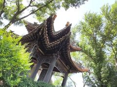 -碑林公园