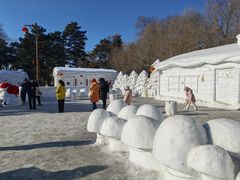 -长春市南湖公园