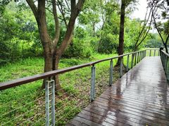 -昆山城市生态森林公园