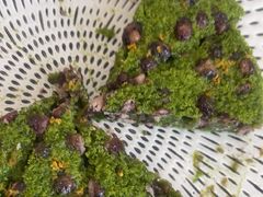 -蟹天蟹地农家菜·阳澄湖大闸蟹(浅水湾店)