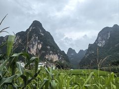 -明仕田园