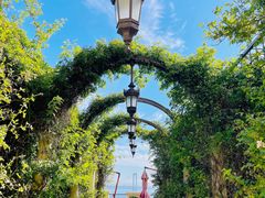 -大堂吧·下午茶·特调鸡尾酒(大连一方城堡豪华精选酒店)