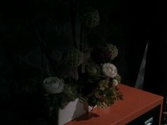 -星辰9号幻影会
