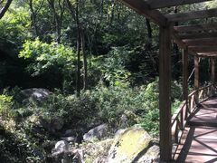 -大岭沟猕猴桃谷风景区