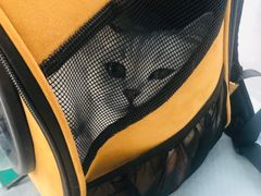 -中农国际动物医院24小时·猫科·骨科·急重症中心