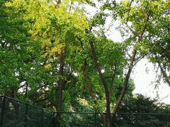 -兰溪青年公园