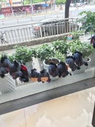 -京世沙龙