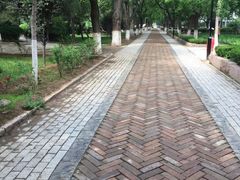 -山东大学(趵突泉校区)
