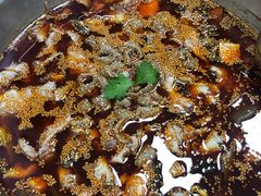 -川渔居—鱼火锅(八方汇店)