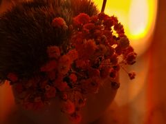 -三迪希尔顿酒店·星空酒廊