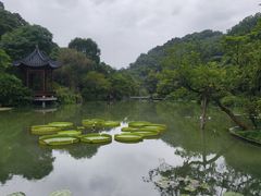 -云溪植物园