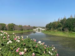 -上海海湾国家森林公园