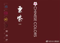 -DC大蔡婚礼策划(李公堤店)