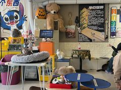 -平行世界·猫咖(首经贸店)