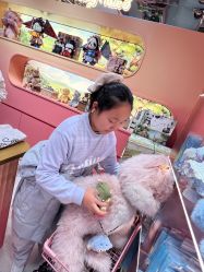 -TeddyTales莉娜熊(国贸店)