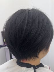 -T8 SALON